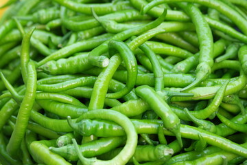 Heap of green hot chili pepper close up. Pile of green spicy pepper as a background. Organic spicy vegetable.