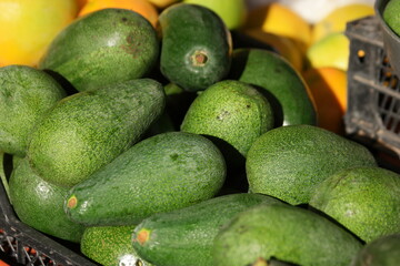 Fresh green avocados on sale at street market. Pile of ripe avocado on counter of the grocery store. Healthy eating concept.