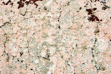 Texture of a concrete wall with cracks and scratches which can be used as a background