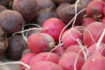 Farmers market vegetables. Close up pile of organic farm radish. Eco food concept.