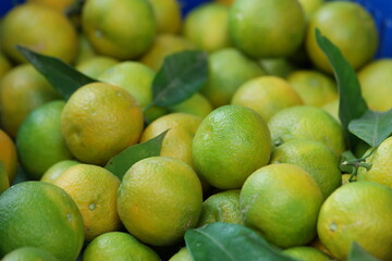 Fresh tangerines fruits at market close up. Pile of green tangerines as background. Tasty juicy fruit.