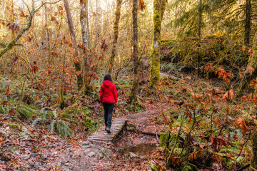 Girl Hiking on a Path in the Rain Forest during a foggy and rainy Fall Season. Squamish, North of Vancouver, British Columbia, Canada.