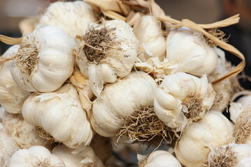 Close up of white garlic bulbs at farmers market. Vitamin healthy food spice. Organic healthy eating.