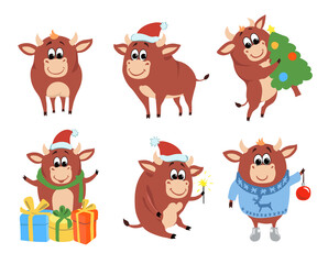 Color bulls chinese new year 2021 symbol. Christmas design, cute ox. Cows and buffalo funny cartoon vector set.