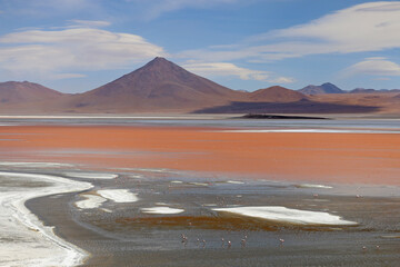 Fototapeta premium Bolivie