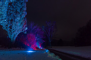 Christmas lighting with colorful atmosphere at the Princely Winter Glow in Bad Waldsee