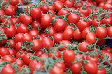 Pile of fresh ripe tomatoes with green vines. Heap of red tomatoes at farmers market.