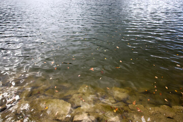 Bavarian lake Schliersee in autumn