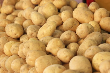 Pile of raw potatoes close up. Organic vegetables on display at farmers market. Healthy food concept.
