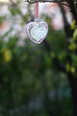 Heart shaped Christmas ornament, hanging in the garden. Selective focus.