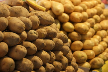 Heap of young potatoes close up. Farm vegetables background.