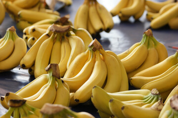 Ripe healthy bananas for sale at market. Bunches of tasty tropical fruits close up.