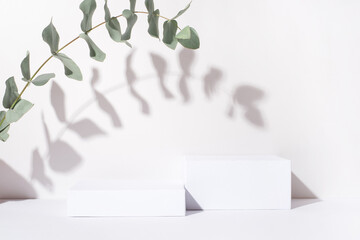 White background for cosmetic products. Rectangular podiums with the shadow of the branches of the...