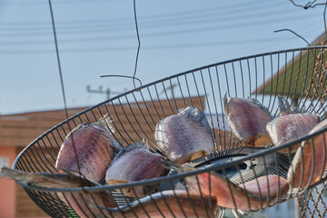 Dried fish (Gourami) food preservation.