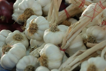 Close up of bunches of organic garlic. Pile of garlic heads at market stall. Healthy natural food.