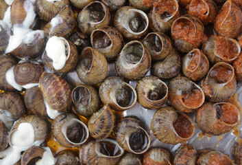 cooked snails with tomato and alioli sauce