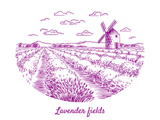 A sketch of lavender fields. French countryside landscape in Provence. Creates a summer mood.