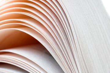 Fototapeta na wymiar Macro shot of open book. Education and study concept. Close-up of opened book pages. Macro view of book pages. Edges of open paper book sheets close-up