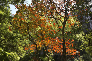 University Park in Hong Kong. China