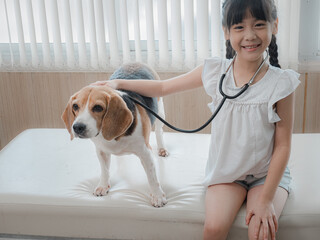 A cute little girl examines her Jack Russell Terrier in the clinic, animal health care.