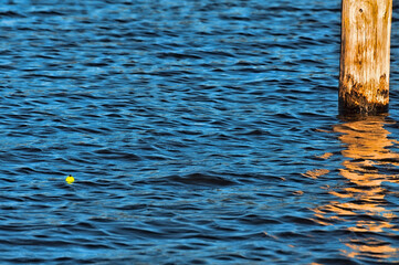 Fishing bobber floating on water