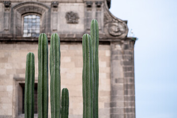 Mexico