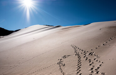 Desierto en Catamarca