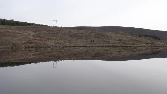 Mirror like lake Vifilsstadavatn, flat water surface reflecting hills and sky