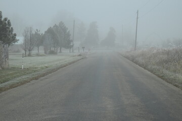 Foggy Road
