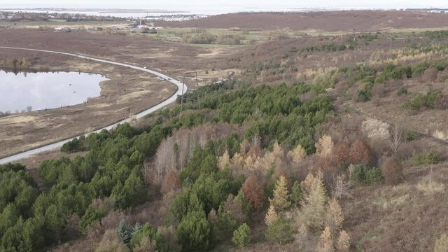 Peaceful landscape in province of Gar&eth;ab&aelig;r with natural woodland, aerial