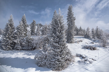 Allphotokz Chimbulak 20160210 8961 D810 S