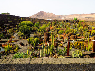 Cactus garden of the Canary Islands, Spain.