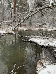 Bank in the snow on the river