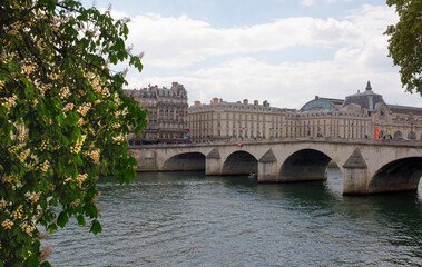 Obraz premium In Paris chestnuts are blooming. View of the Royal Bridge