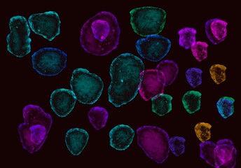 absract precious stones 