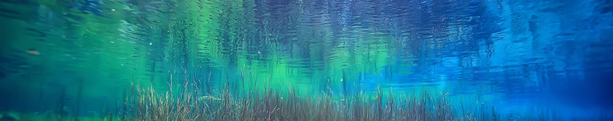 view underwater lake, freshwater landscape ecosystem clear water