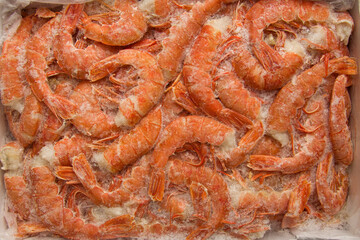 Lots of frozen shrimp lie in ice and snow. Frozen shrimp background. Horizontal format, texture.