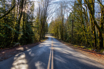 Beautiful View of a Scenic Road in the Green Forest during a sunny fall season day. Taken in Squamish, North of Vancouver, British Columbia, Canada.