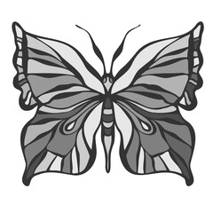 Abstract black and white isolated vector illustration design of butterfly with calligraphic lines