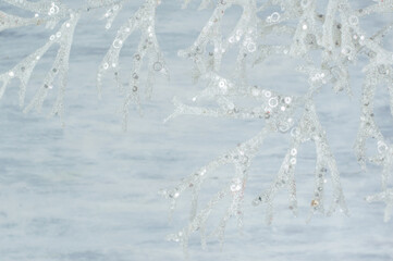 Blurred white-gray background with a delicate decorative twig.