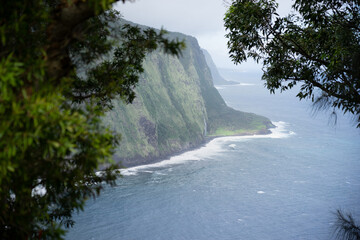 Cliffs north of Waipio valley viewed through trees - Hawaii island, Hawaii, USA - 398090469