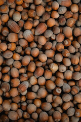Hazelnuts as a background texture image. Top view. Copy, empty space for text