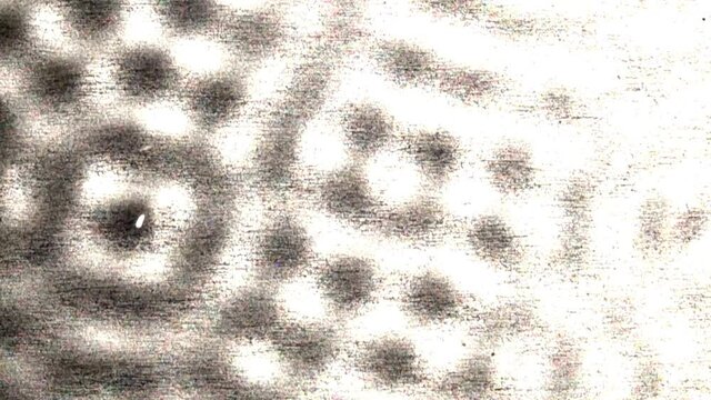 Chadni Patterns form in a vibrating liquid demonstrating node oscillation.