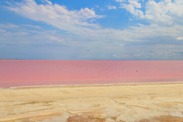 View of the pink salty Syvash lake in Kherson region, Ukraine