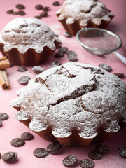 Chocolate cupcake sprinkled with powdered sugar on a pink background. Sweet chocolate pastries. Sweets.