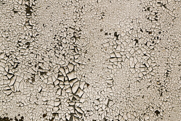 the old white paint was cracked textura