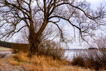 Początek zimy w Dolinie Narwi, Podlasie, Polska