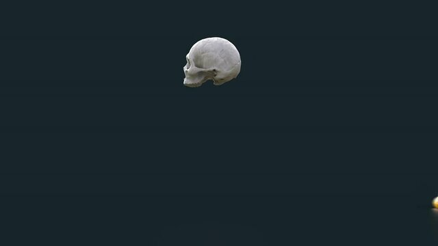 egg yolk pours out of the skull
