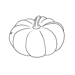 pumpkin isolated on white