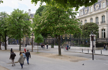 Naklejka premium Champs Elysees. Pedestrians are walking along the street